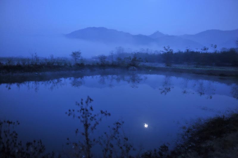 理想與現(xiàn)實